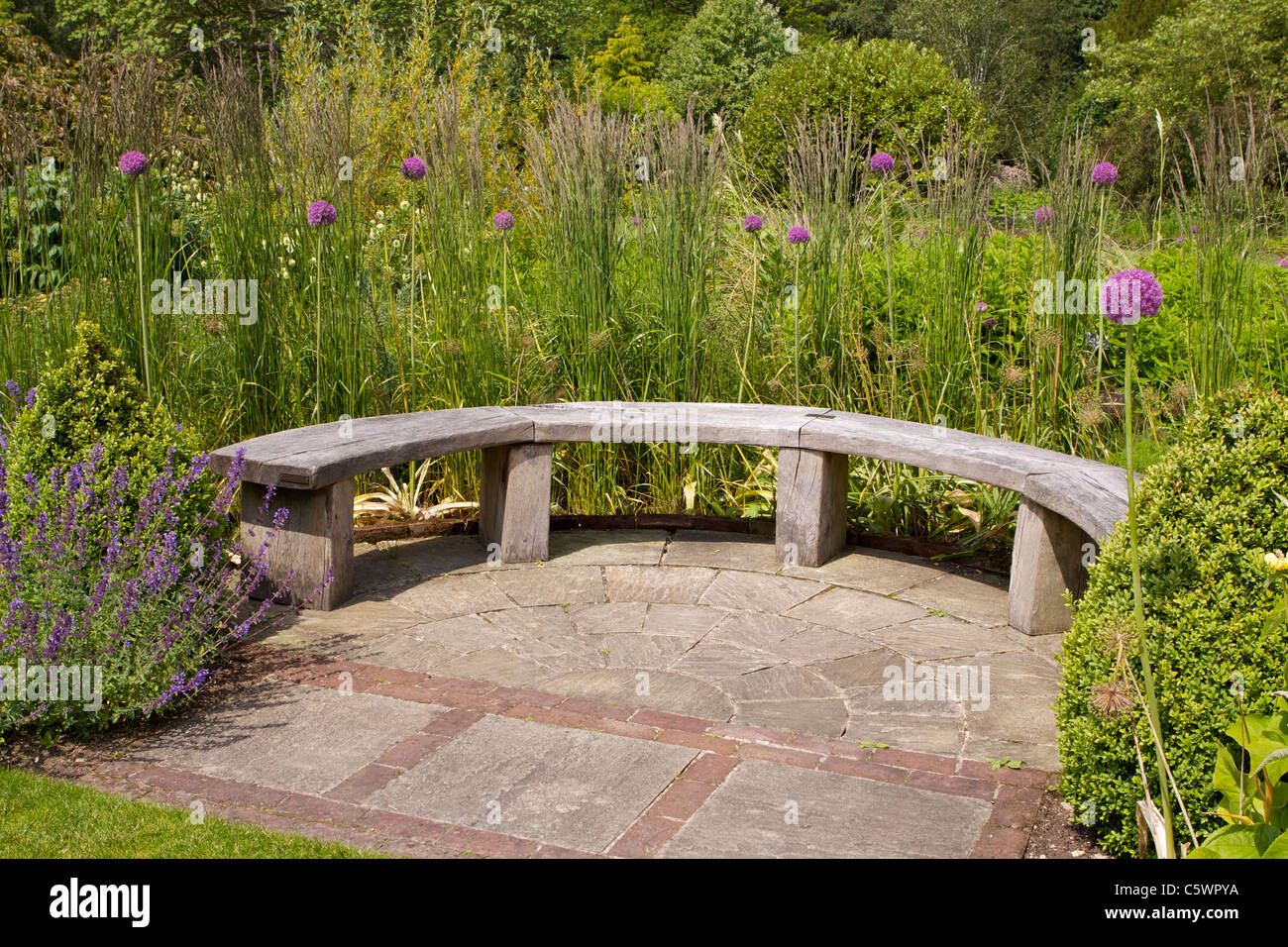 A wooden bench on stone flagstones in a garden in North Yorkshire with purple 'Aliums' growing close by Stock Photo