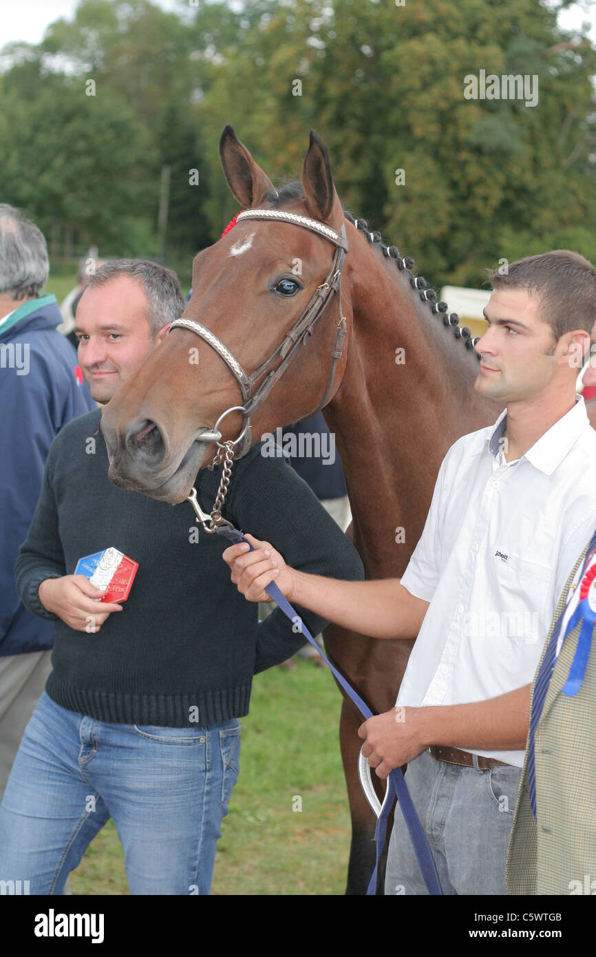 Awards during an equestrian competition, France championship saddle horses, Haras du Pin (Orne, Normandy, France). Stock Photo
