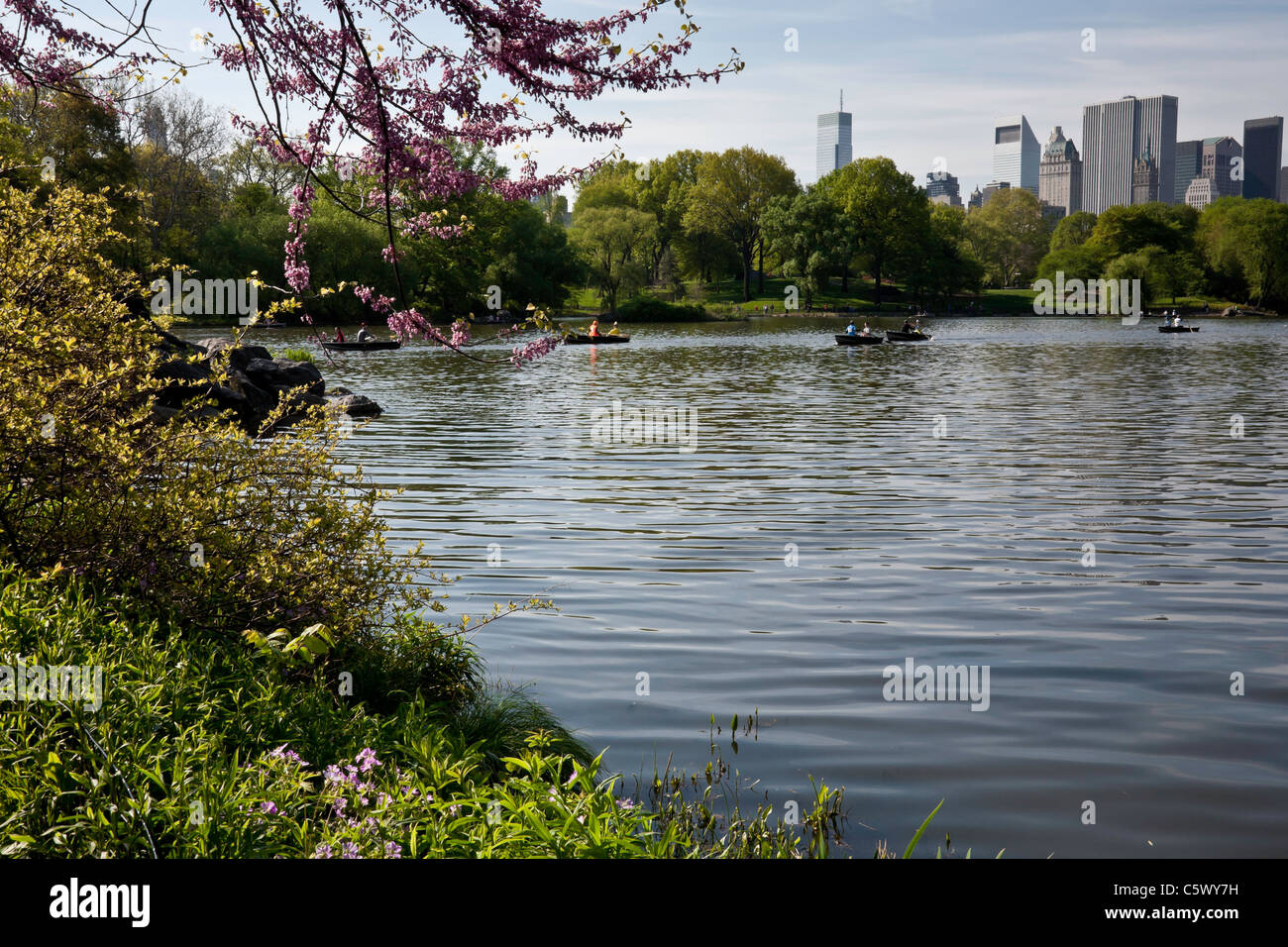 Rowboats, The Lake, Spingtime,Central Park with Midtown Skyline, NYC