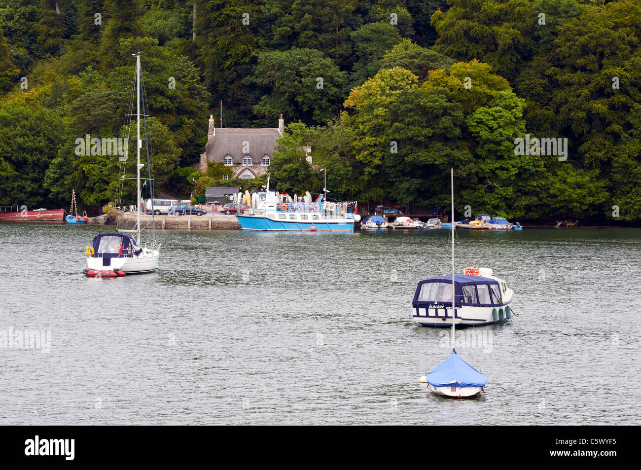 River Dart, Dittisham, Devon, England in July 2011 with a large number
