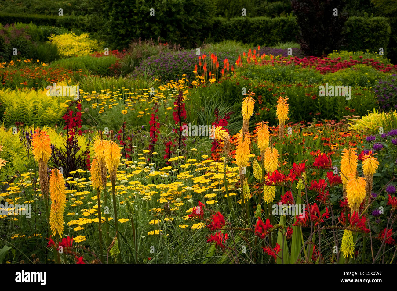 The Hot Garden in Summer, RHS Rosemoor, Devon, England, United Kingdom Stock Photo