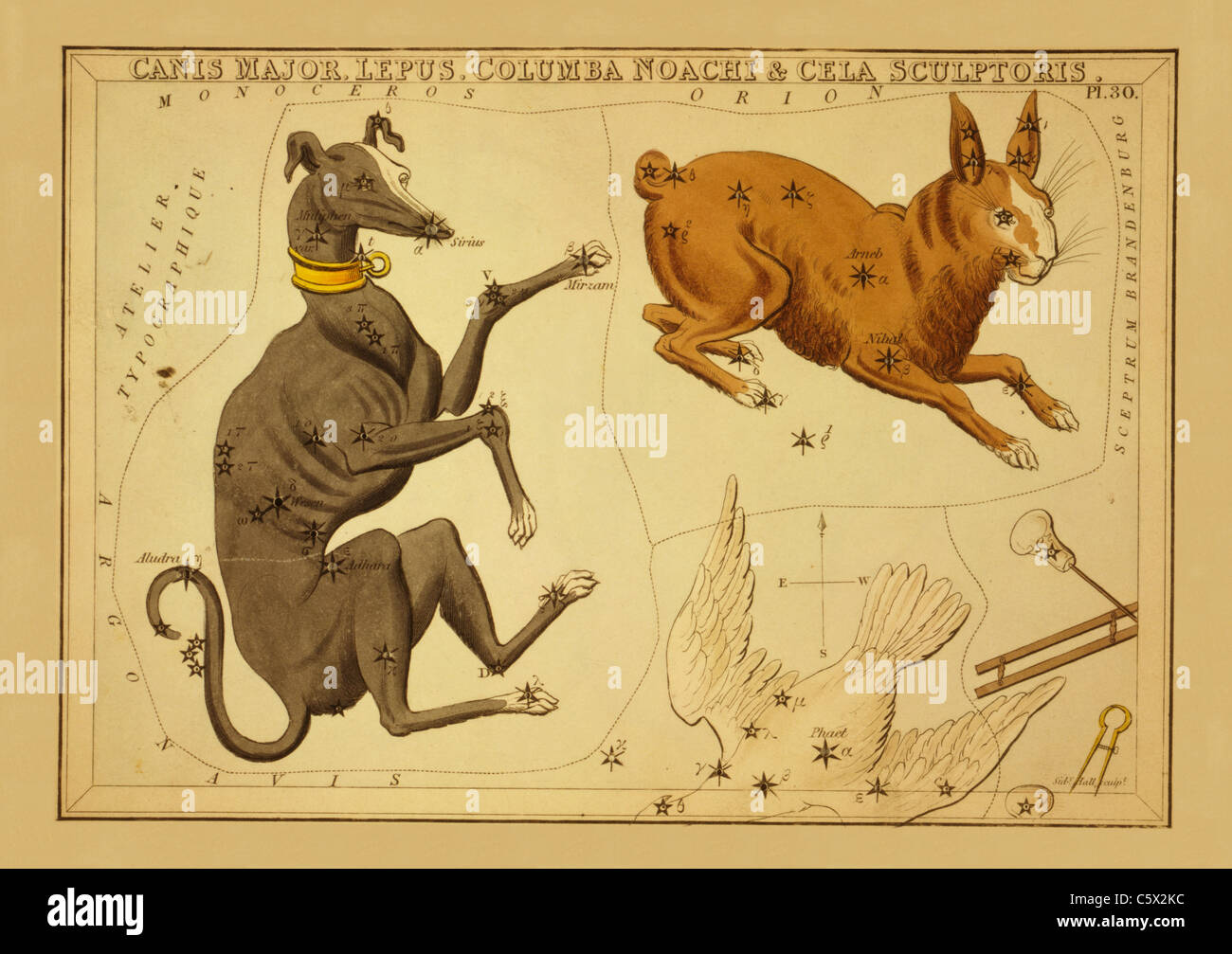 Canis Major, Lepus, Columba Noachi & Cela Sculptoris - 1825 Astronomical Chart Stock Photo