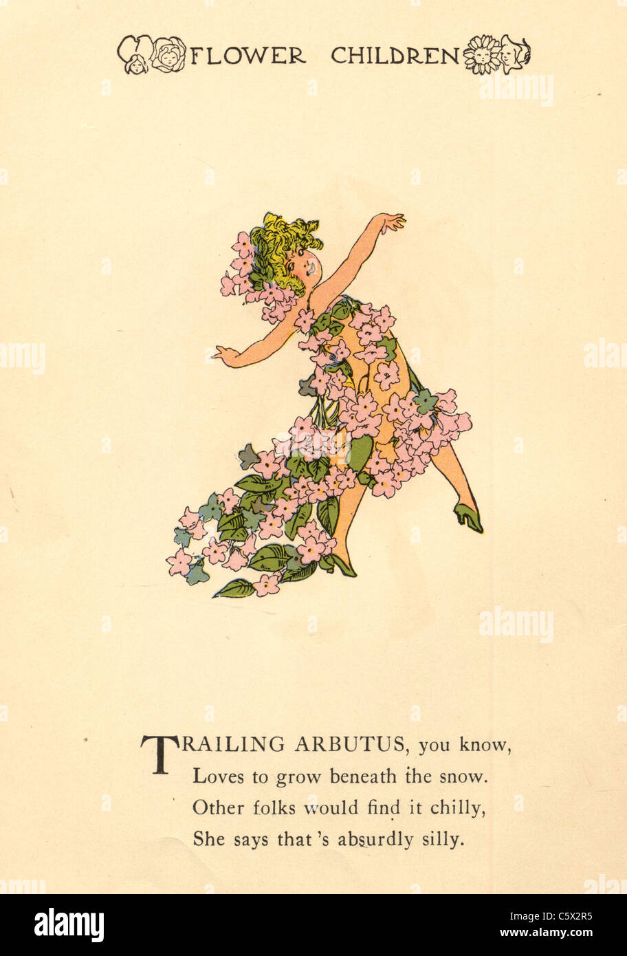 Trailing Arbutus - Flower Child Illustration from an antiquarian book Stock Photo