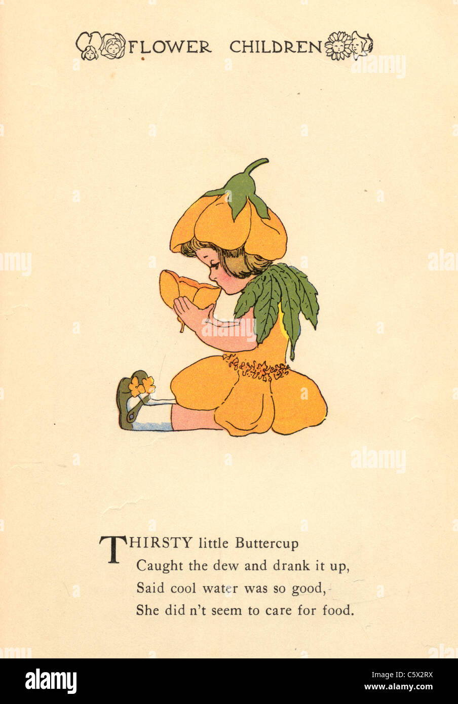 Buttercup - Flower Child Illustration from an antiquarian book Stock Photo