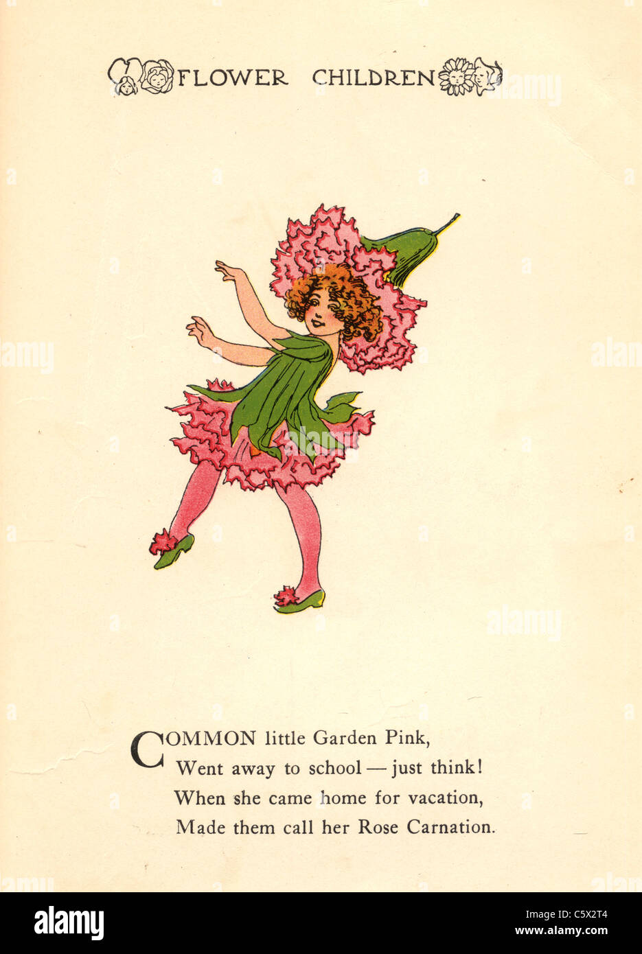 Garden Pink - Flower Child Illustration from an antiquarian book Stock Photo