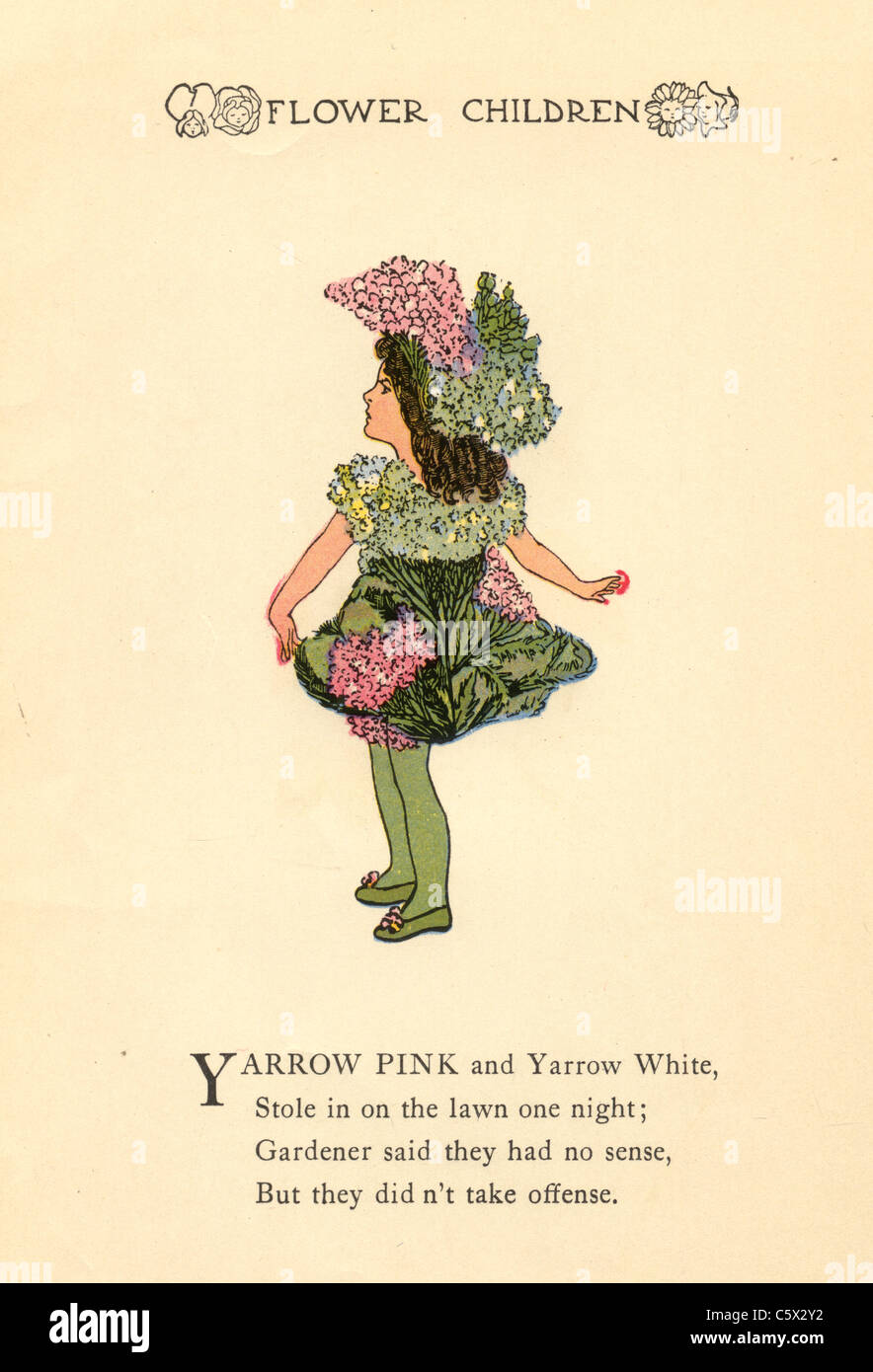 Yarrow - Flower Child Illustration from an antiquarian book Stock Photo
