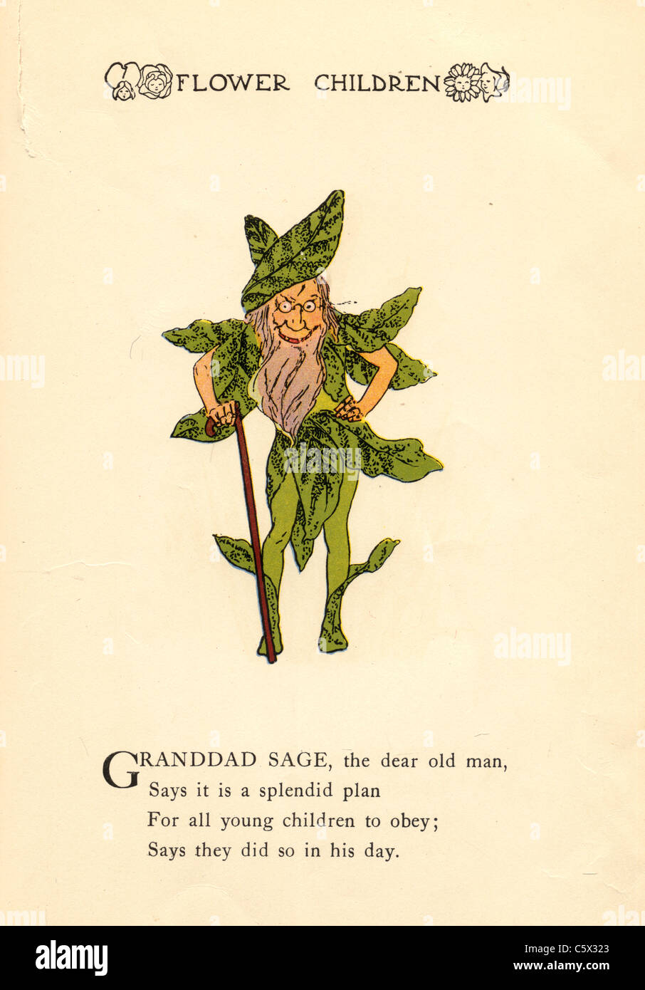 Sage - Flower Child Illustration from an antiquarian book Stock Photo