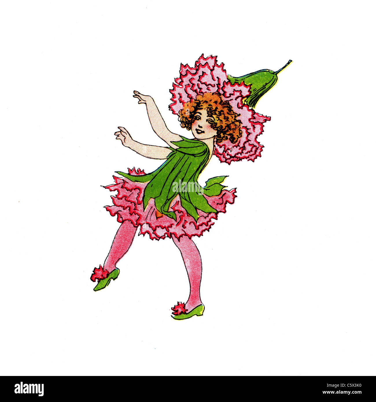 Garden Pink - Rose Carnation - Flower Child Illustration from an antiquarian book Stock Photo