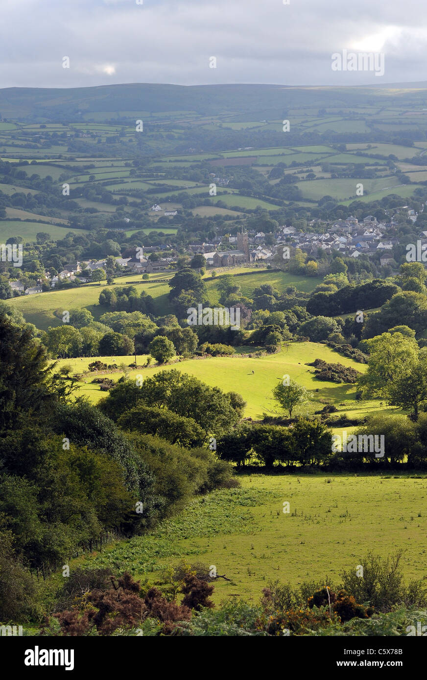 Rolling devon fields near Moretonhampstead on the slopes of Dartmoor,Devon,Devon, Rural Scene, UK, Summer, Agricultural Field, Farm, Nature, Skill, Stock Photo