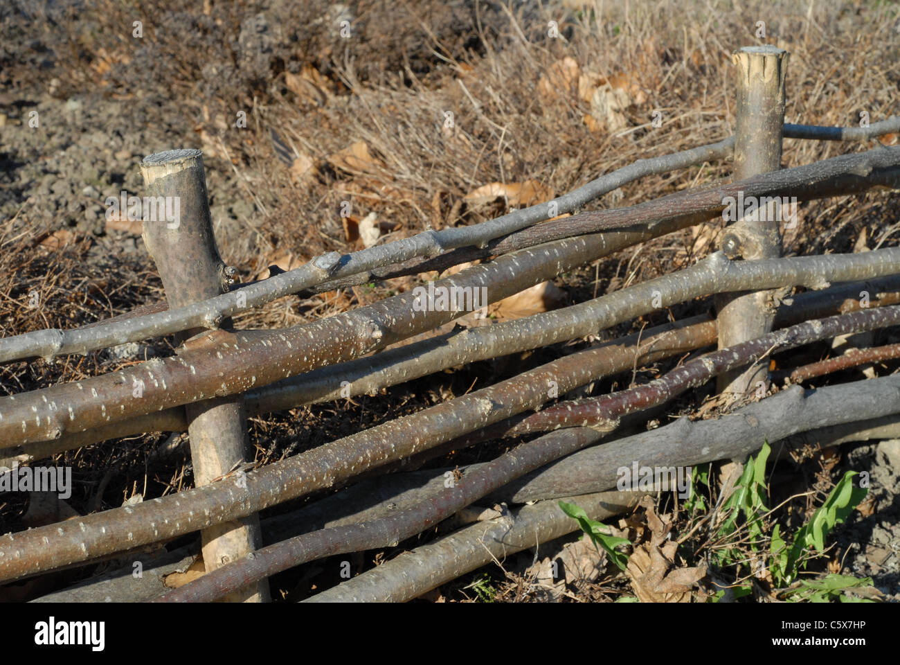 Edging garden hires stock photography and images Alamy