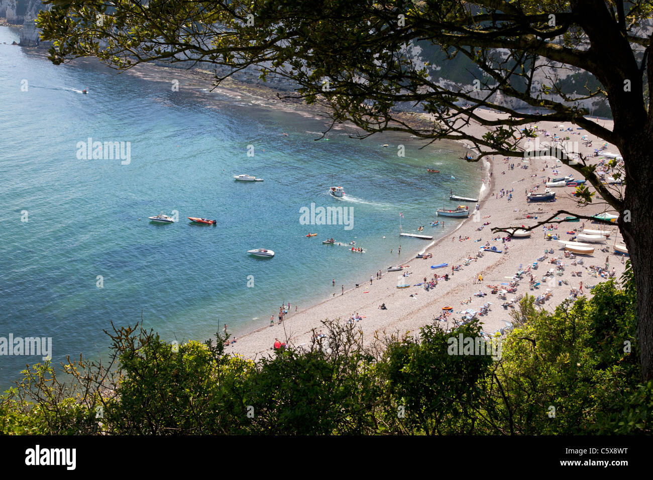 View Of The Beach From Jubilee Gardens Beer Devon Stock Photo Alamy view-of-the-beach-from-jubilee-gardens-beer-devon-stock-photo-alamy