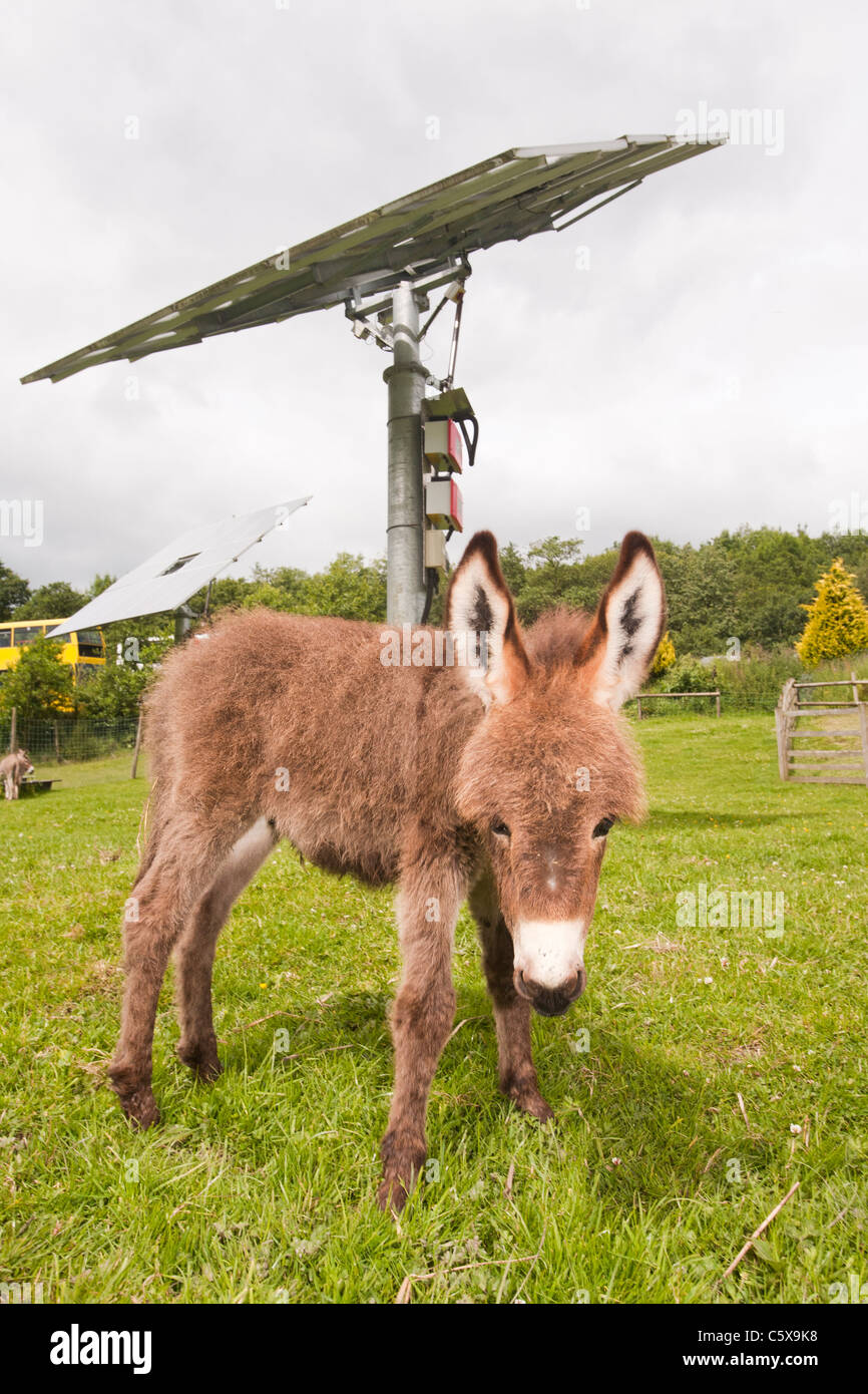 k fairbanks supply & Diesel Photos Stock Diesel Stock Generator Generator k fairbanks supply & Diesel Photos Stock Diesel Stock Generator Generator