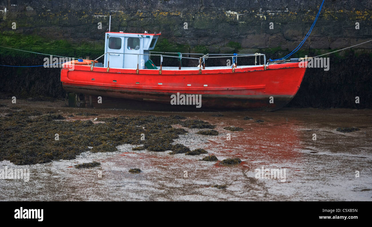 Ireland, Motorboat in the harbour Stock Photo