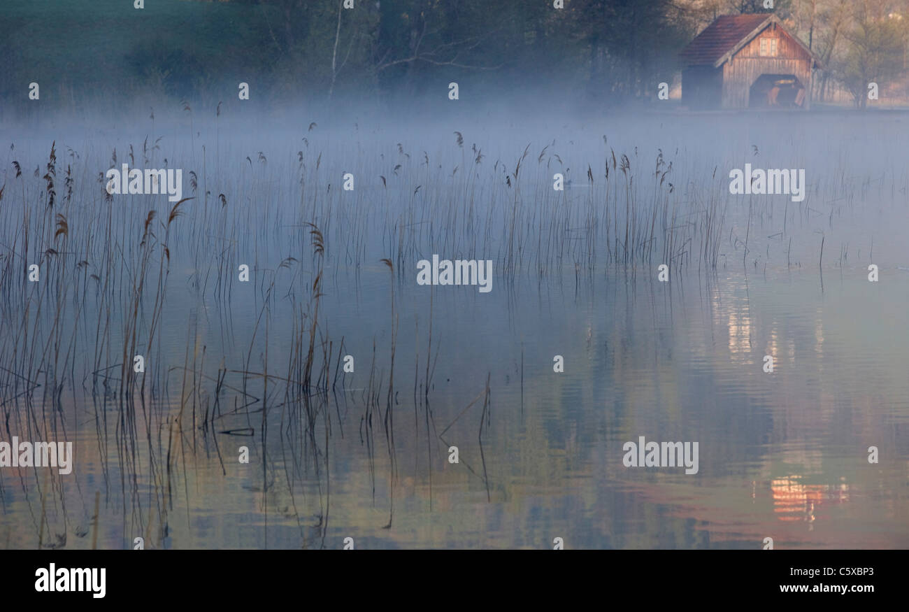 Austria, Salzkammergut, Irrsee in morning mist Stock Photo