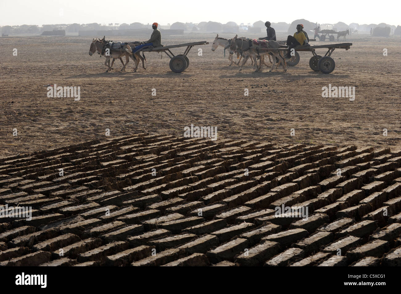 Africa MALI Mopti , clay architecture - worker make clay brick for building, transport with donkey cart Stock Photo