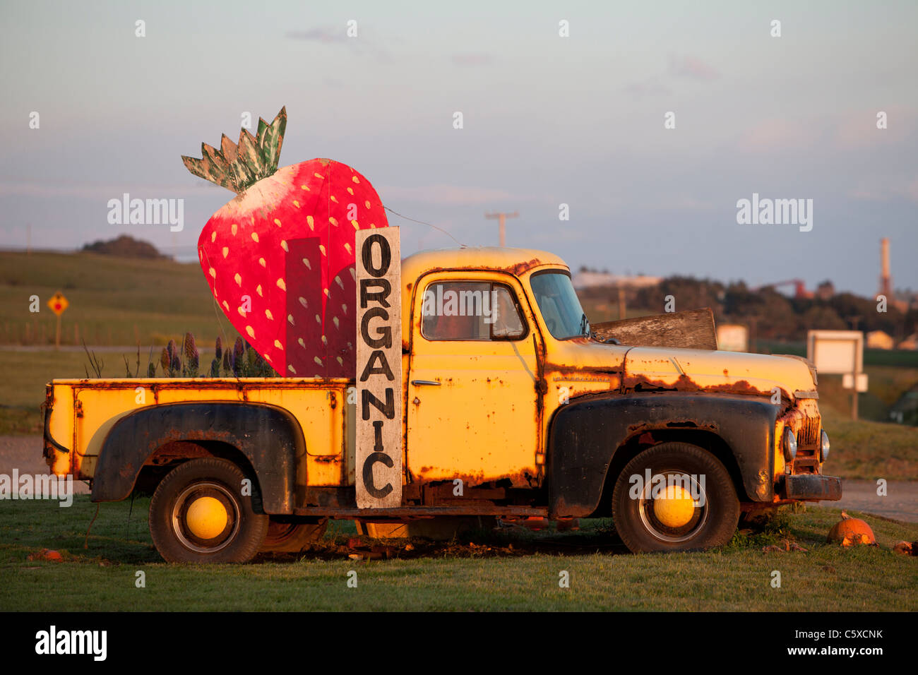 Organic strawberry farm truck, at farm stand, Swanton Berry Farm Stock
