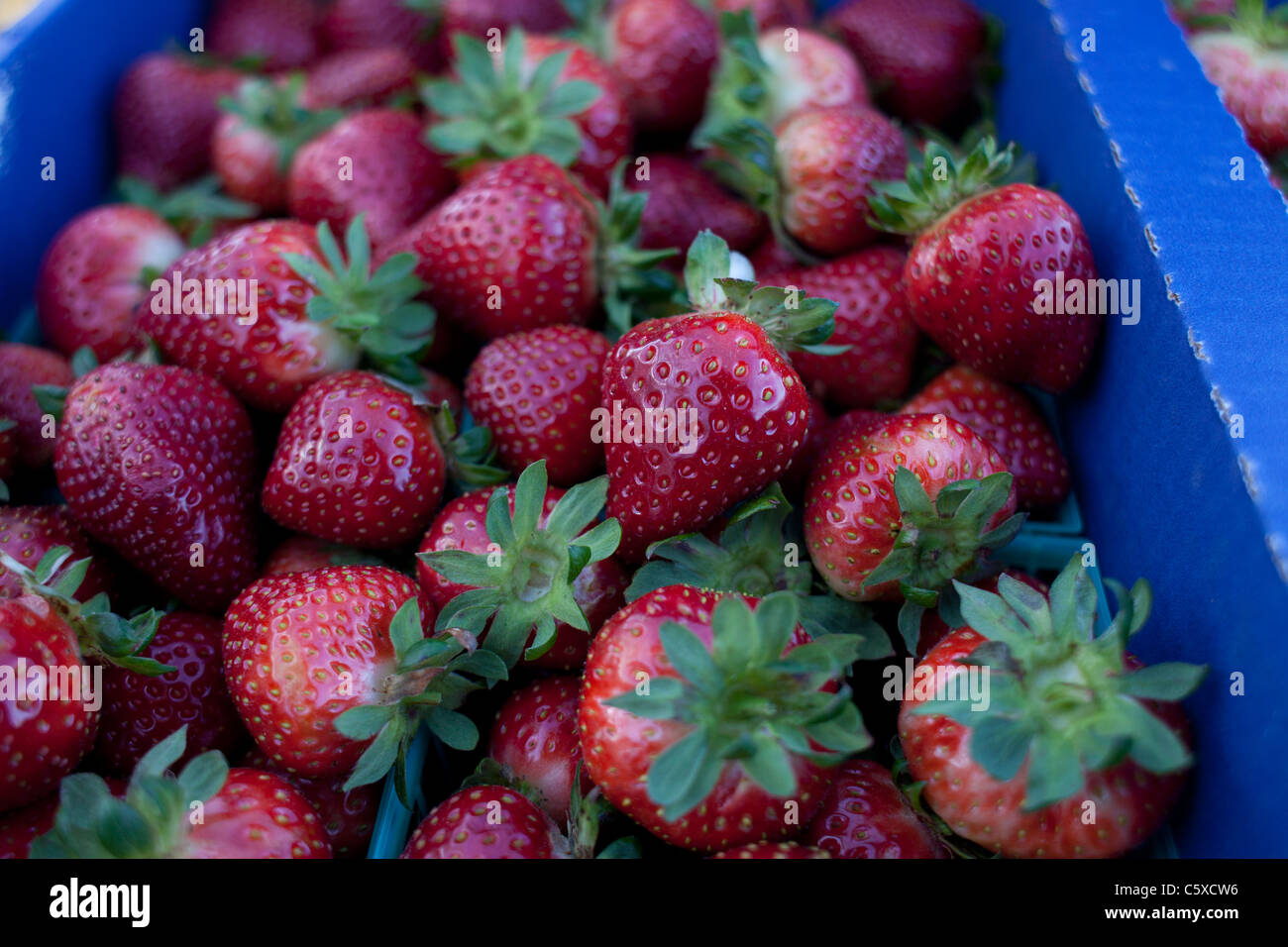 Organic Strawberry Farm, California Stock Photo Alamy