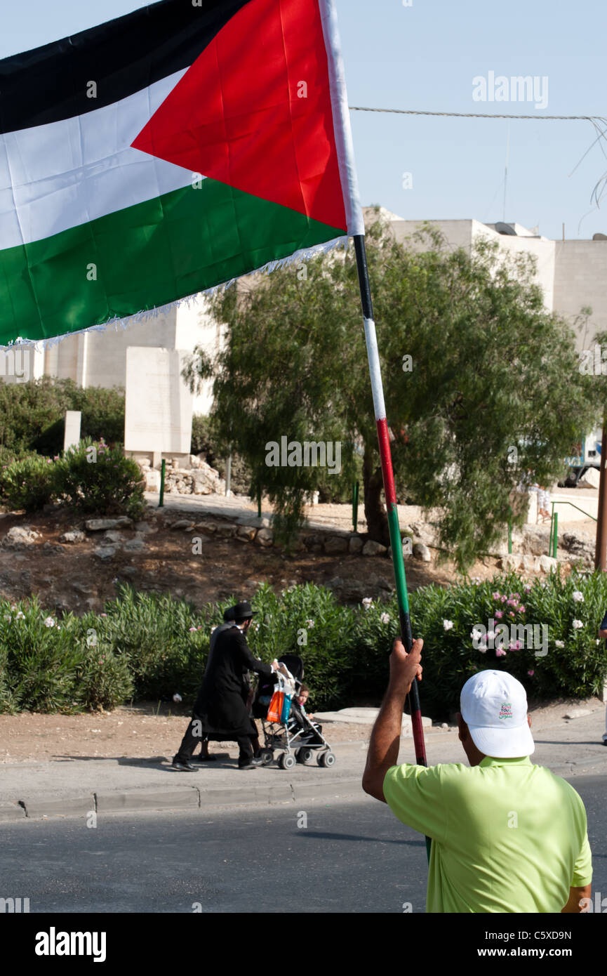 Palestine Flags Waving behind Tree · Free Stock Photo