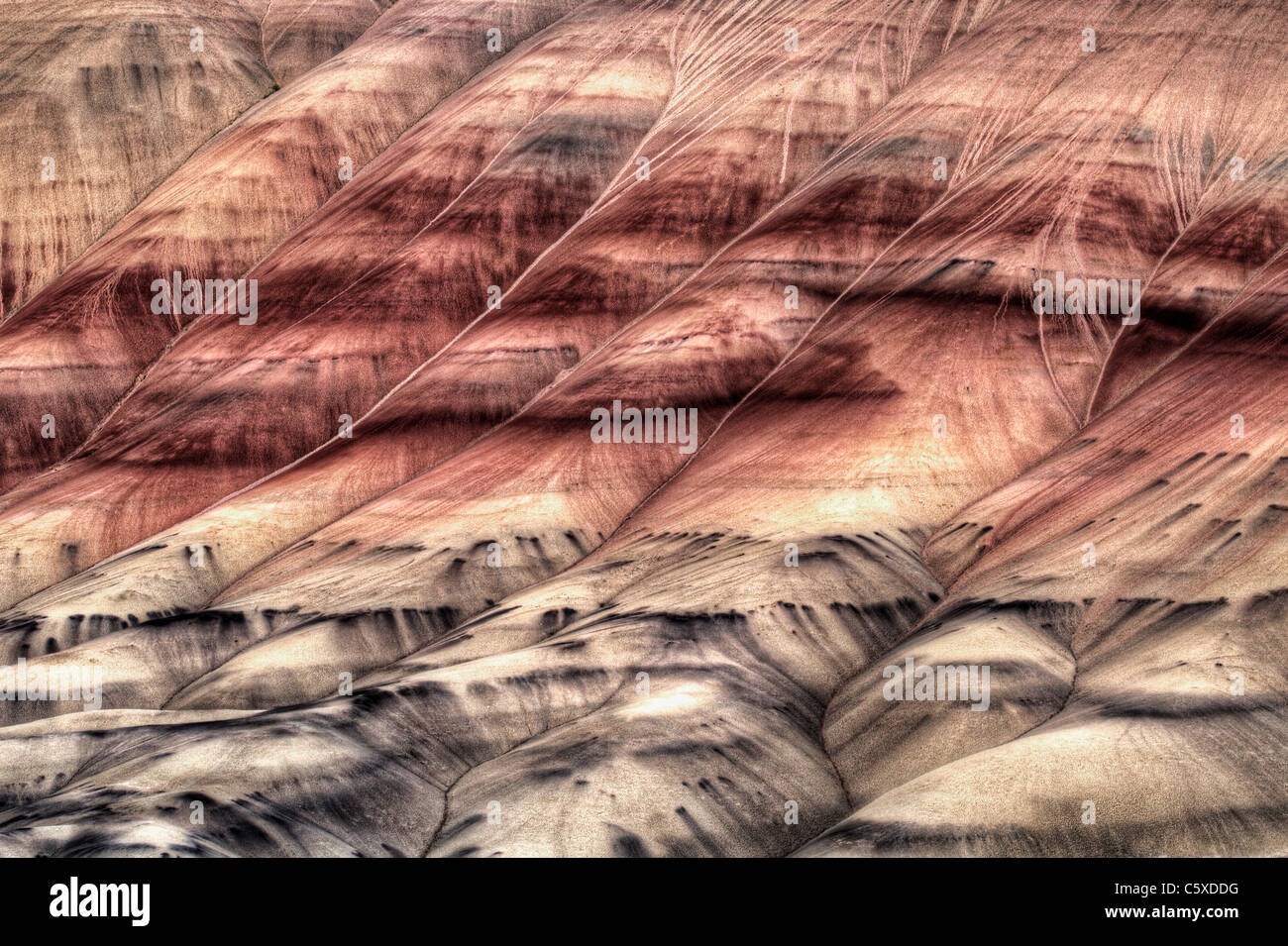 Painted Hills John Days Fossil Beds Oregon Closeup Abstract Stock Photo