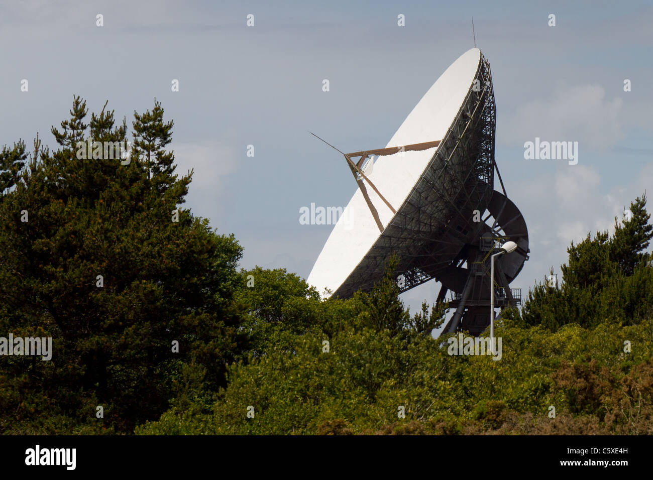 Communications dish seen through trees at Goonhilly Satellite Earth Station, Goonhilly Downs