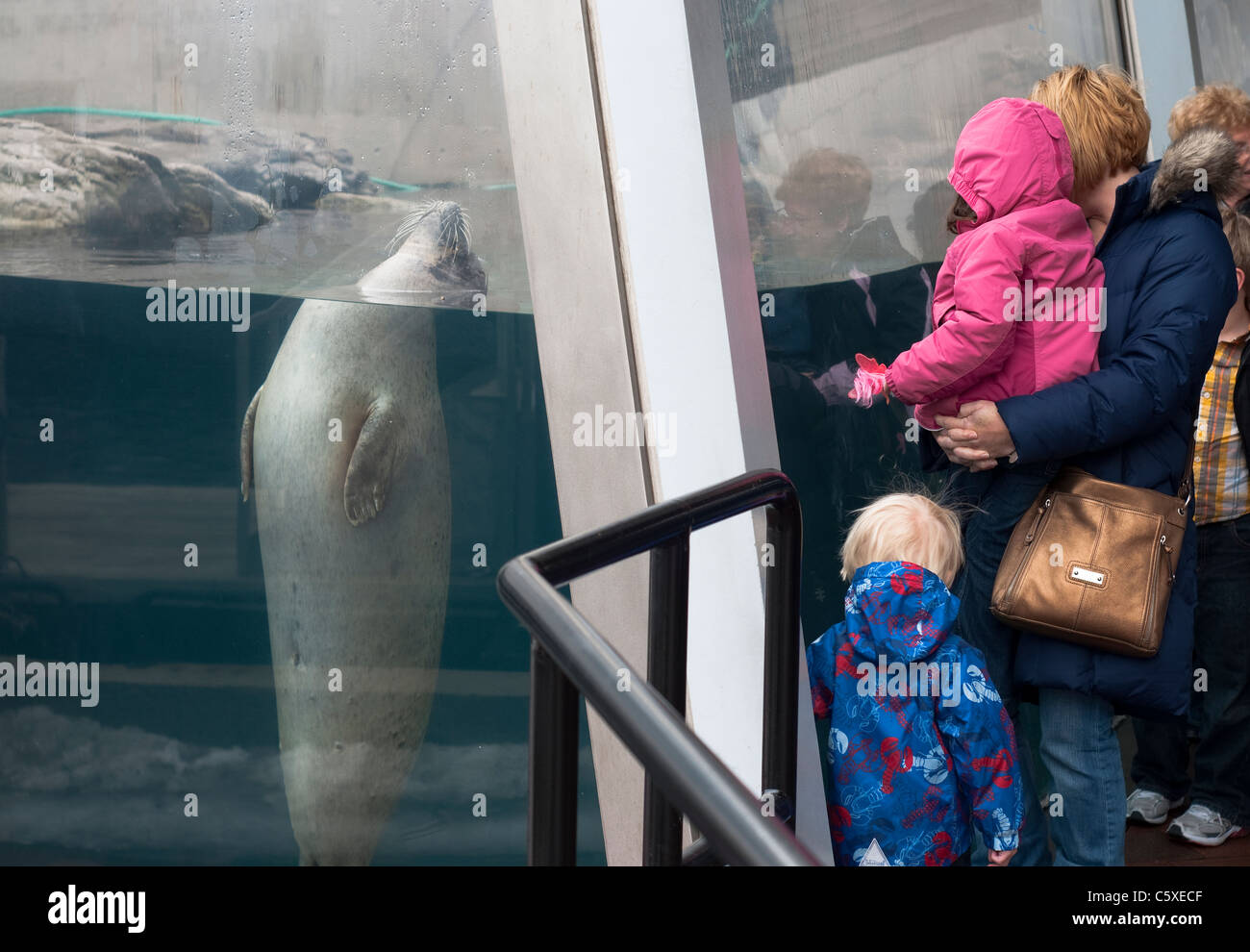 A mother and daughters visit the New England Aquarium in Boston Ma. Stock Photo