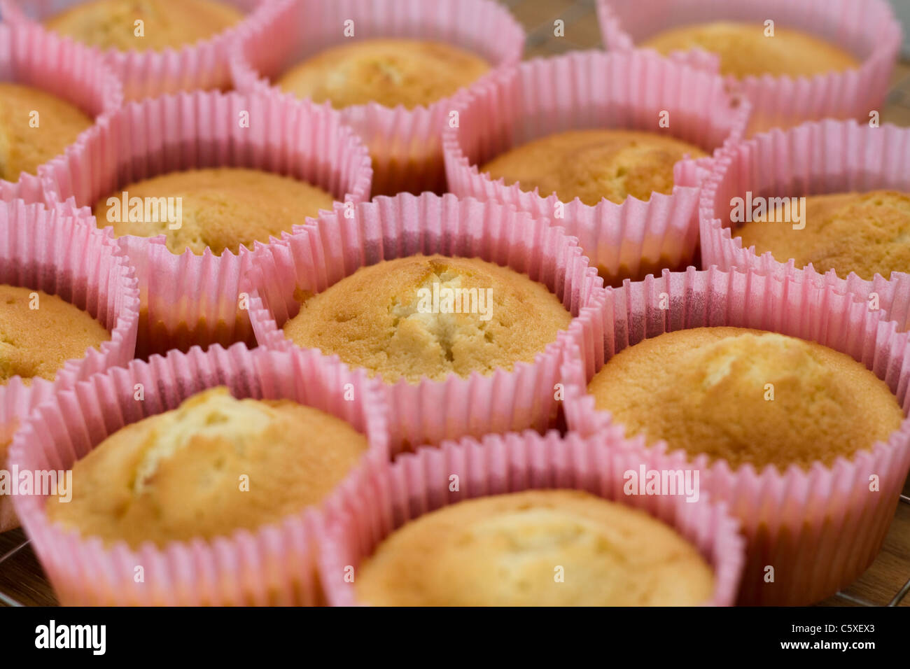 Freshly baked cakes on display Stock Photo