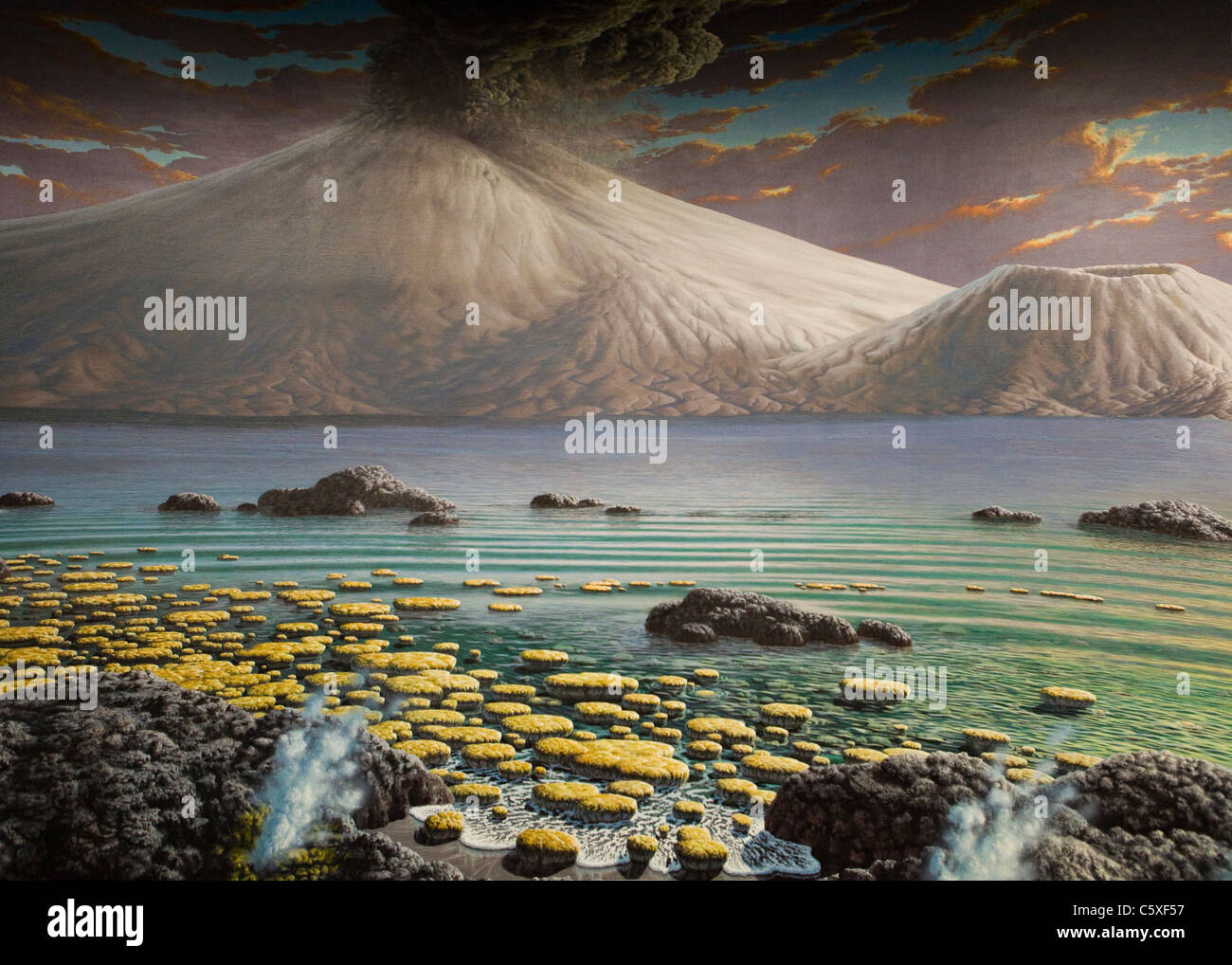 Archean Eon scene - a depiction of stromatolites growing in shallow hot springs Stock Photo