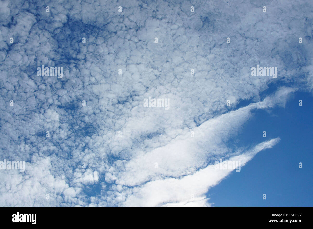 A combination of mackerel and nimbus cloud formation Stock Photo Alamy