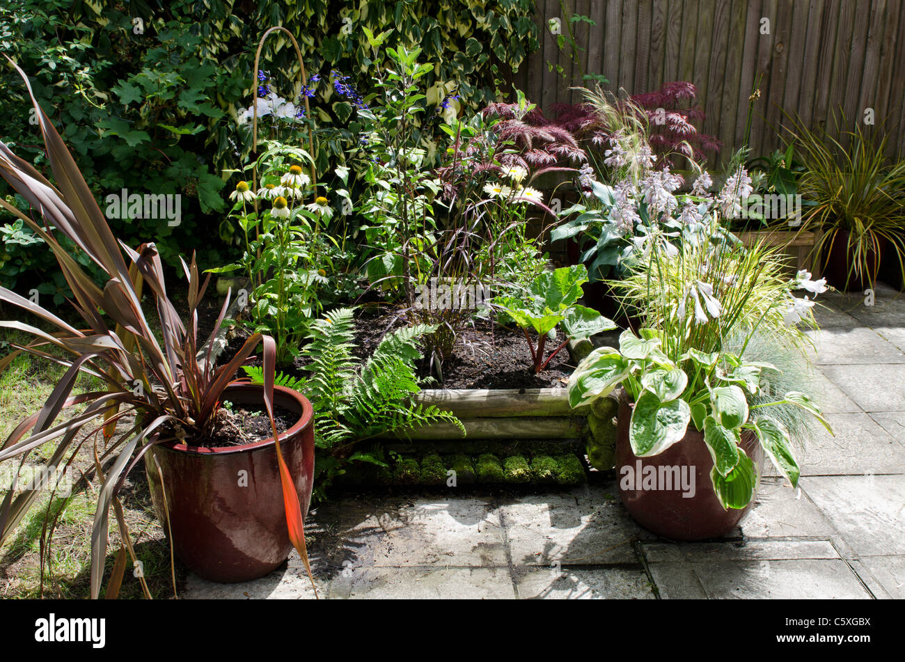 Patio garden plants wooden planter and pots Stock Photo Alamy