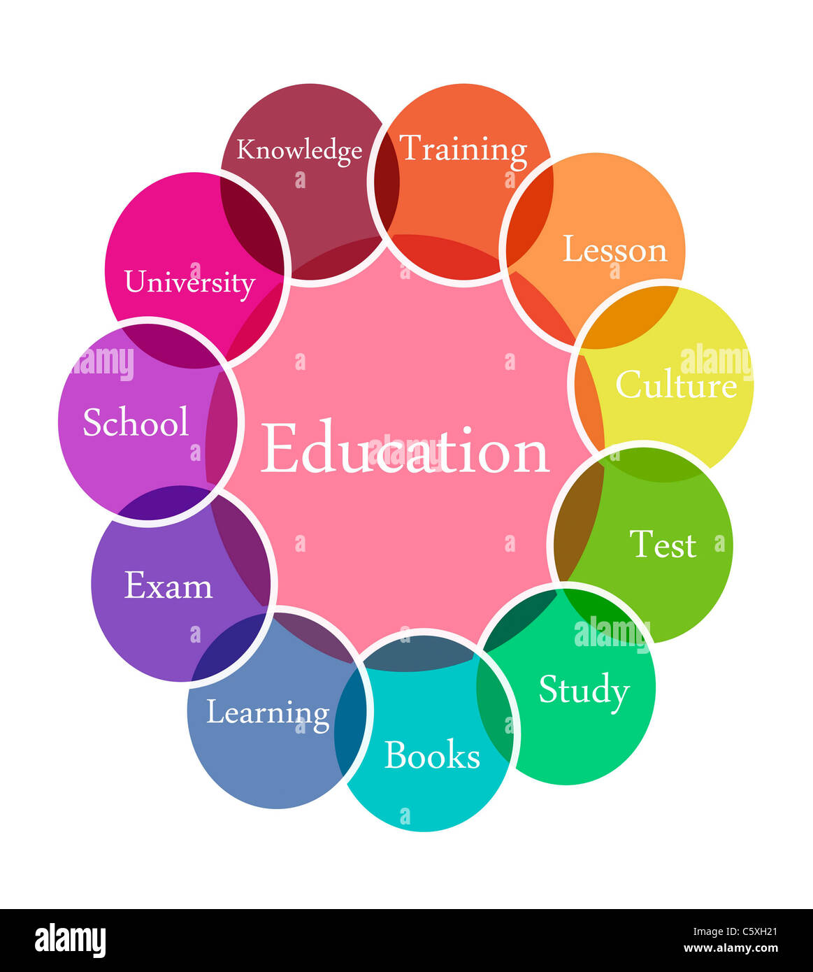 Color diagram illustration of Education Stock Photo Alamy