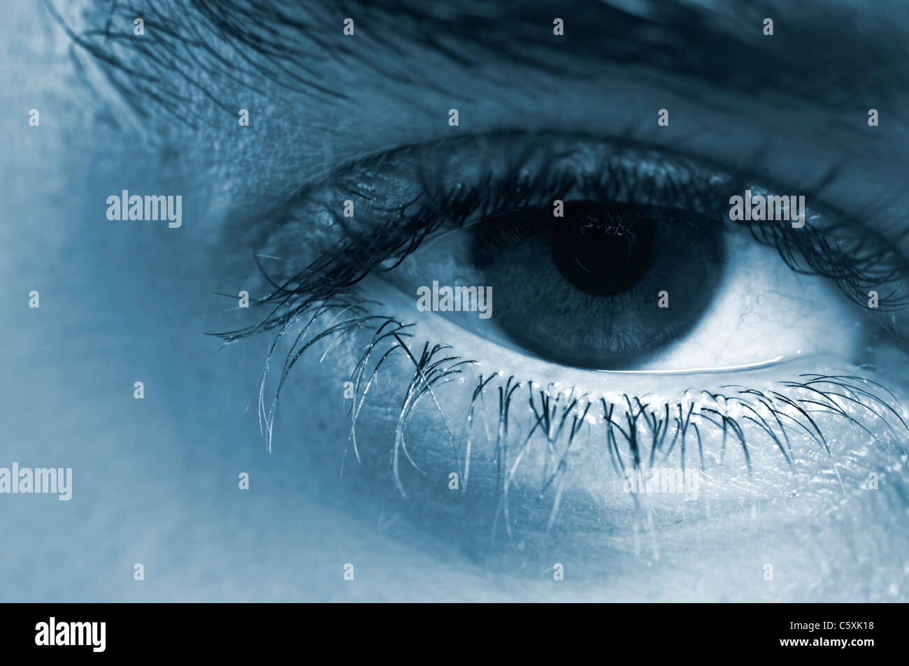 Extreme closeup human eye blue hi-res stock photography and images