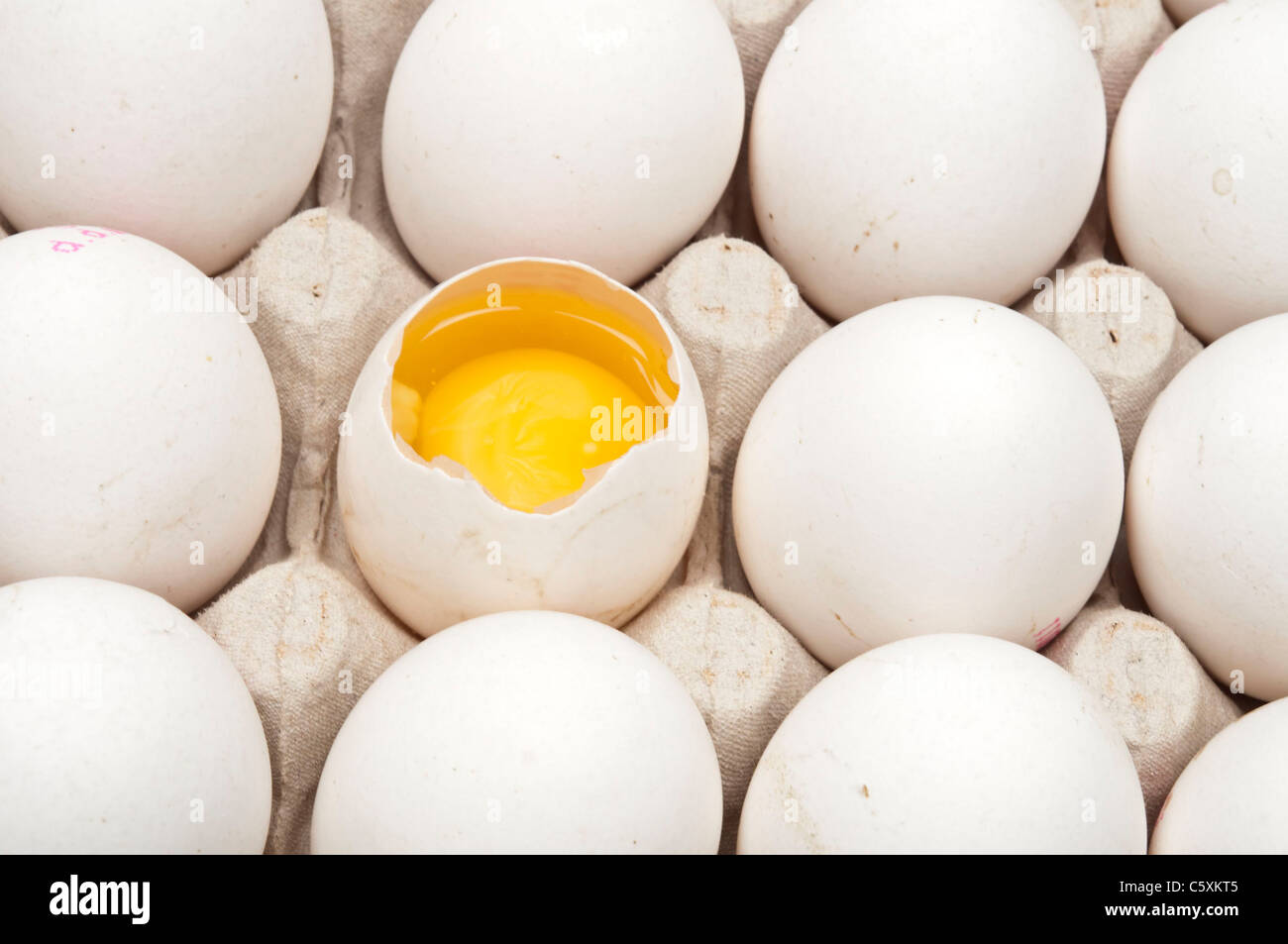isolated full egg carton on white Stock Photo
