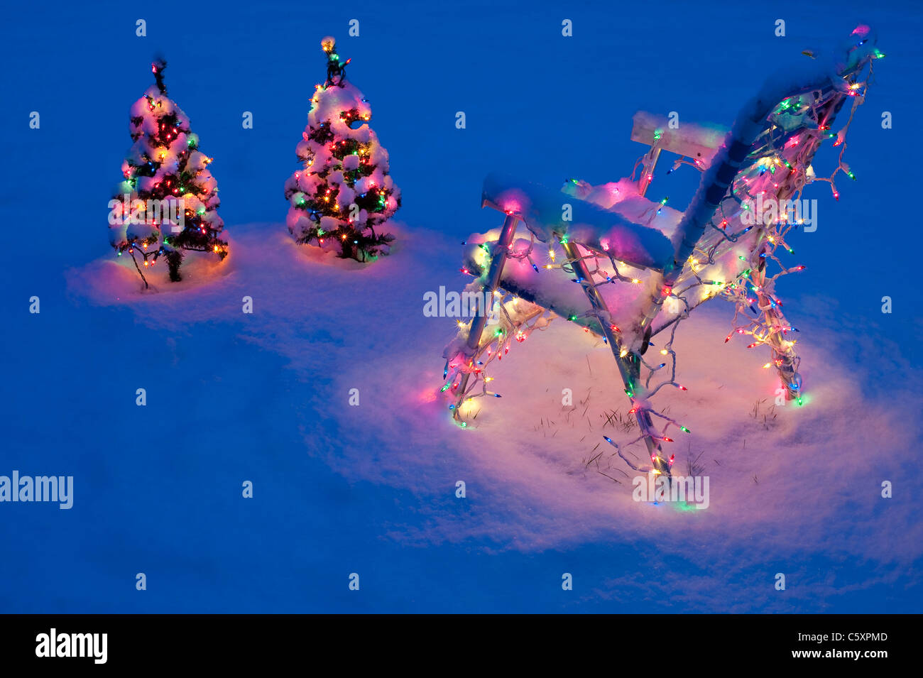 Christmas Lights On Two Small Christmas Trees And A Lawn