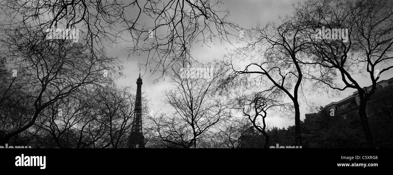 A  panorama of the Eiffel Tower Paris France Parisian Stock Photo
