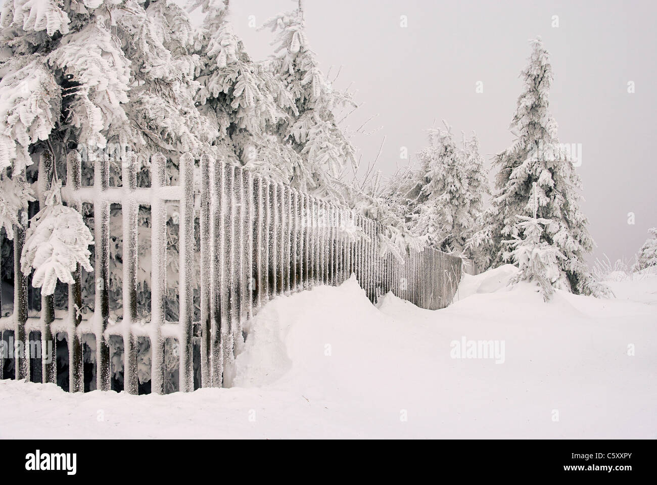 Zaun im Winter - fence in winter 03 Stock Photo