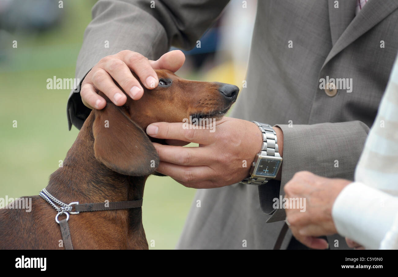 How Much Does A Dog Show Judge Make