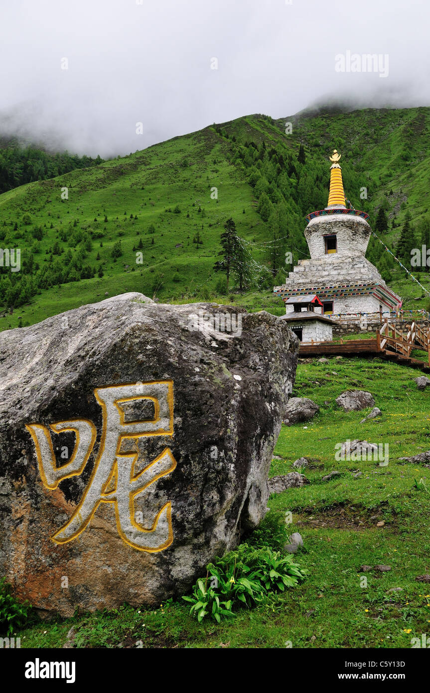 Buddhism prayers carved on stone. Siguniang Shan Nature Reserve, Sichuan, China. Stock Photo