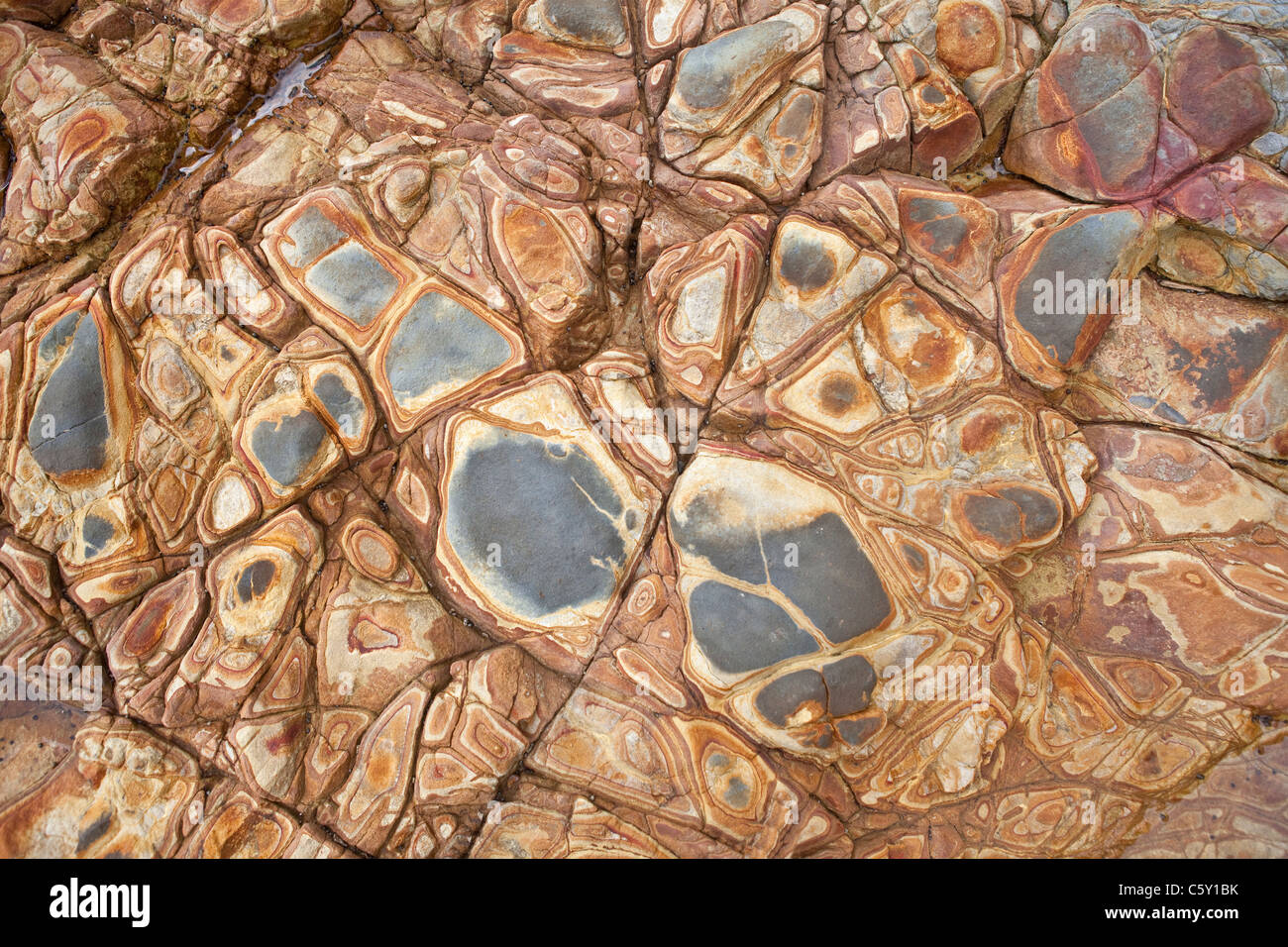 Tidal pool stone texture at low tide. Stock Photo