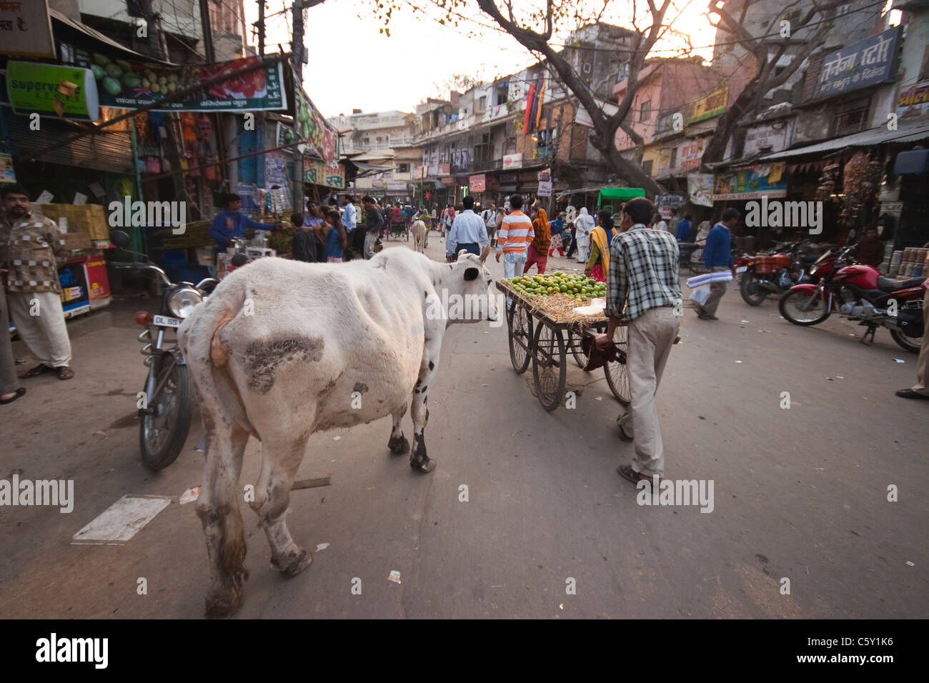 Delhi street scene Stock Photo