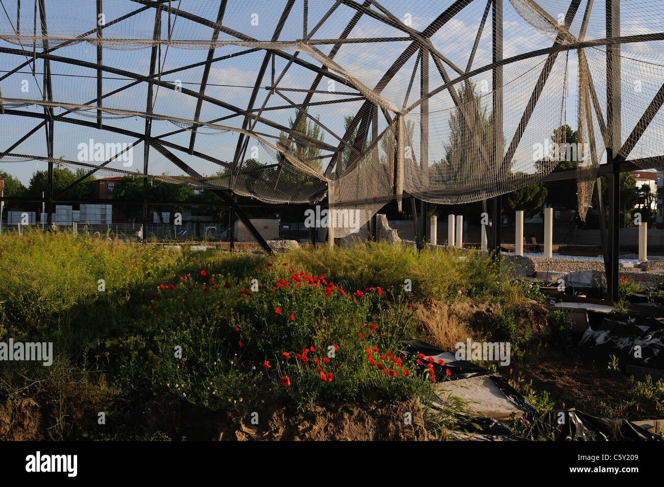 Construction of the Museum " House of Griffins " Roman city of Complutum SPAIN Stock Photo Alamy