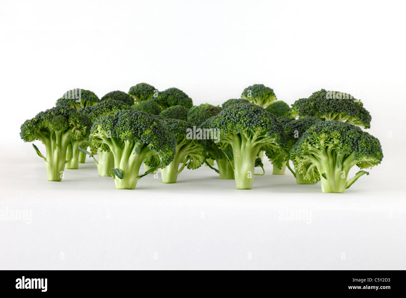 A Broccoli 'forest' Stock Photo
