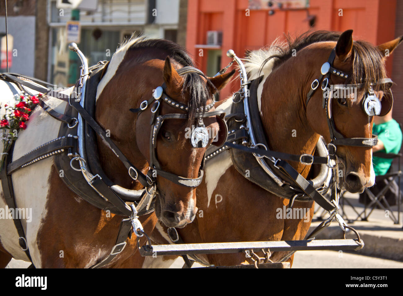 Regina queen city ex hires stock photography and images Alamy