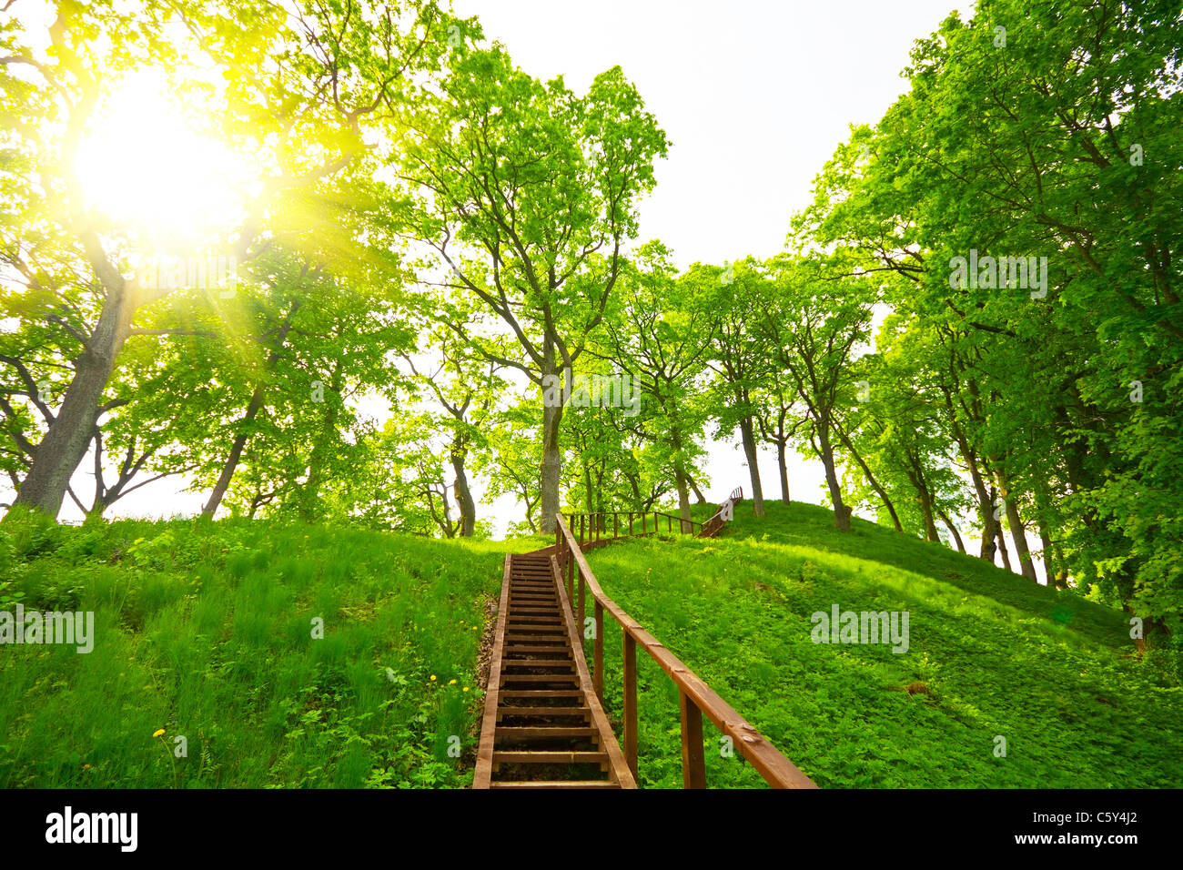 ladder to the hill, summer Stock Photo