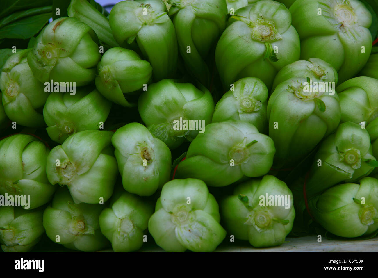 Fresh fruit and vegetables on display at Paddy's Market in Sydney