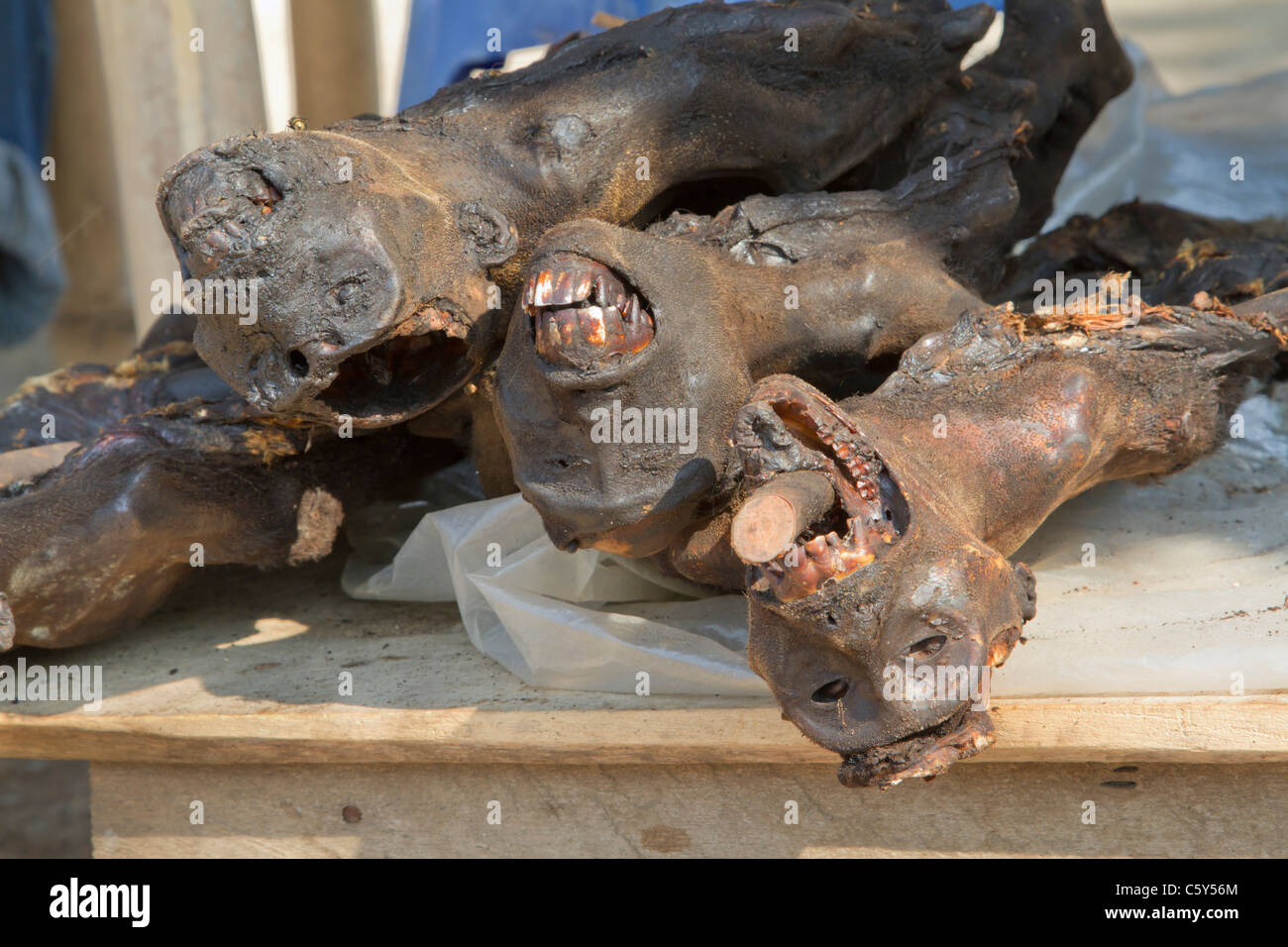 Smoked monkeys at a rural bushmeat market, Tshopo province in the Democratic Republic of the Congo Stock Photo