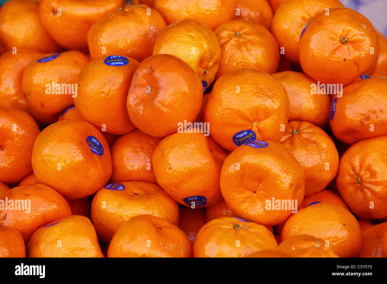 Fresh fruit and vegetables on display at Paddy's Market in Sydney