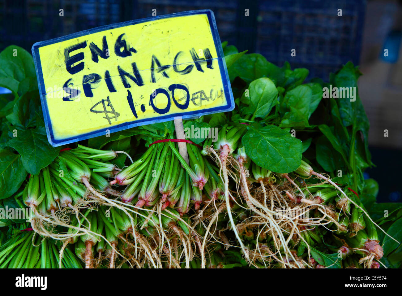 Fresh fruit and vegetables on display at Paddy's Market in Sydney
