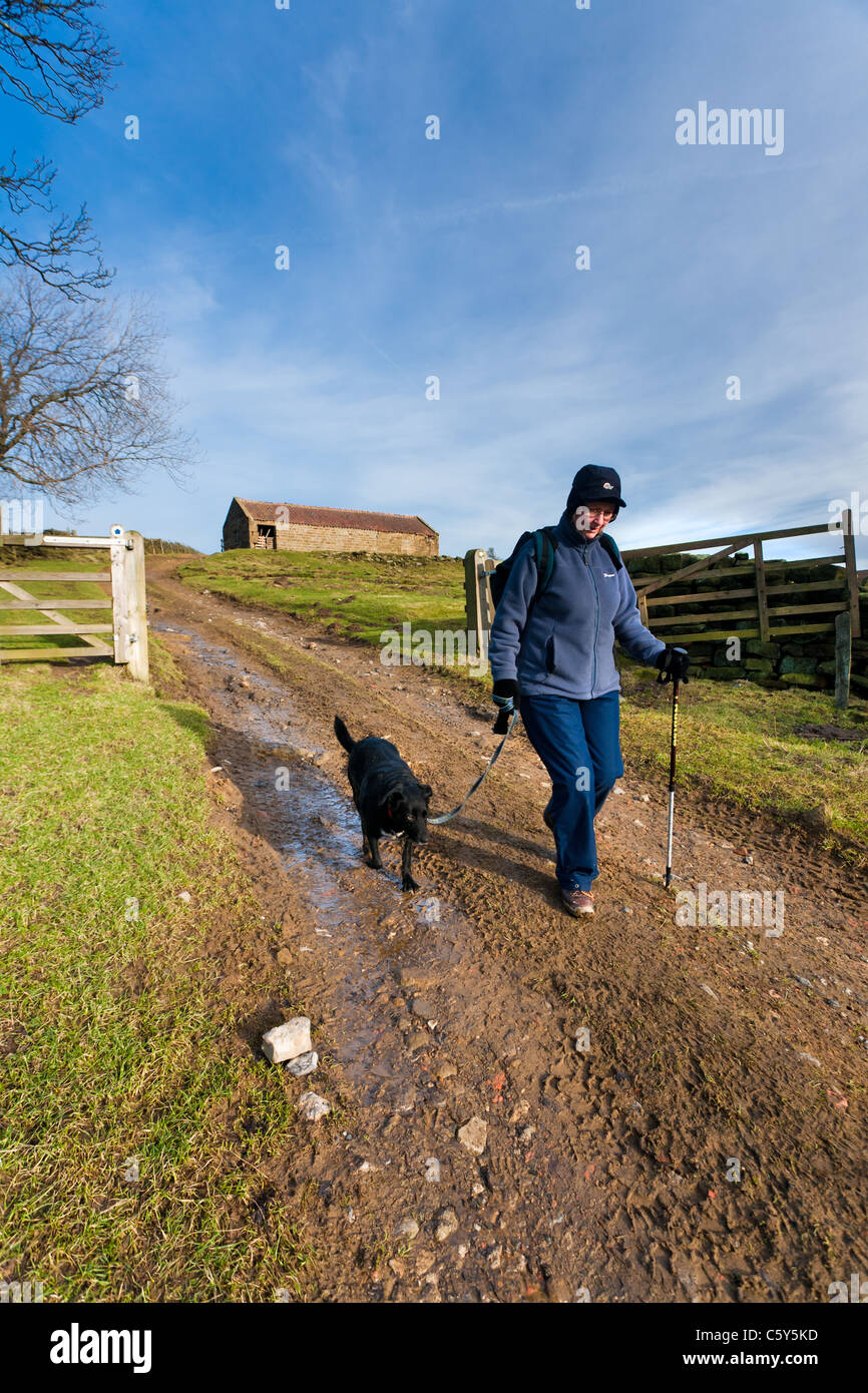 Hiker and her dog walking the track near Hill End Farm on Snilesworth