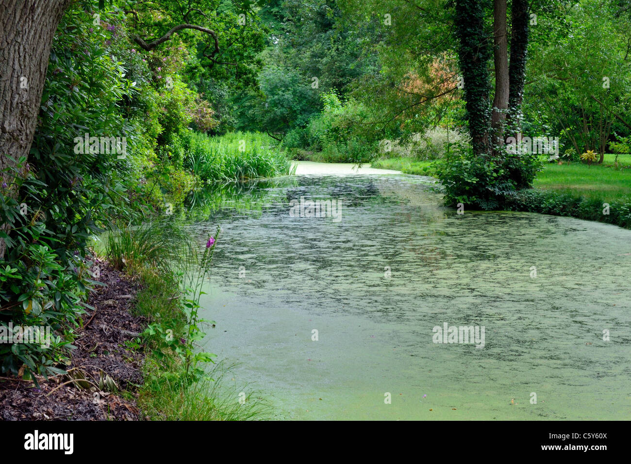 A Quiet Backwater Stock Photo