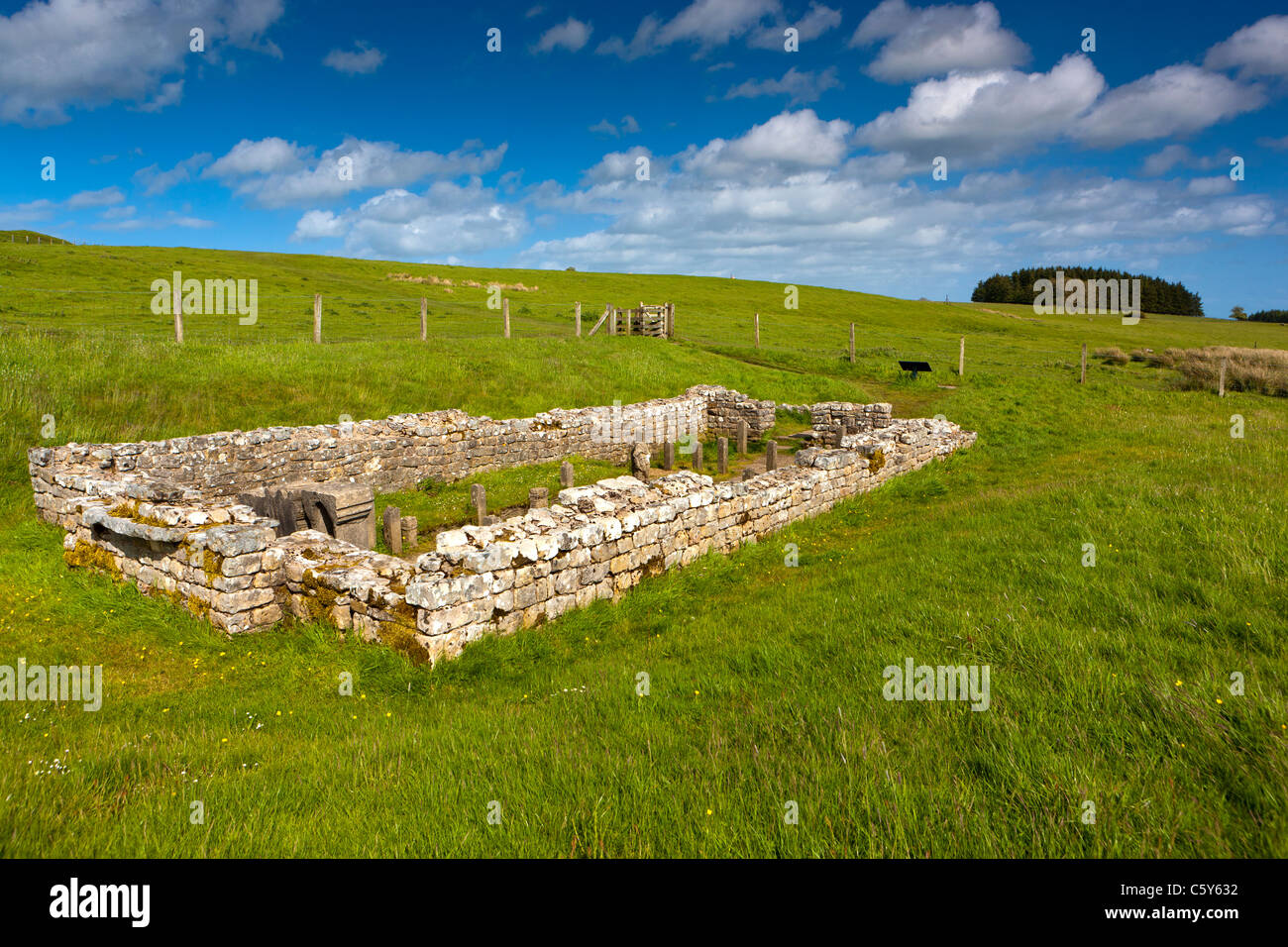 Temple of Mithras, Hadrian's Wall, Carrawburgh, near Hexham, Northumberland, England, UK. Stock Photo